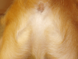 Jesus Christ is everywhere…